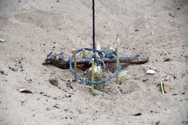 40 - Namibia - poblado Kavango - trampa para atrapar pajaros